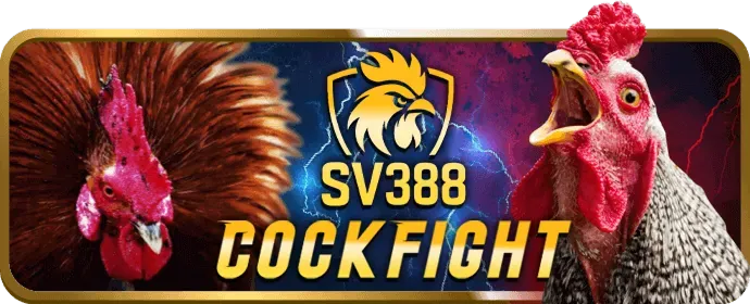 Đá gà VN123 Login